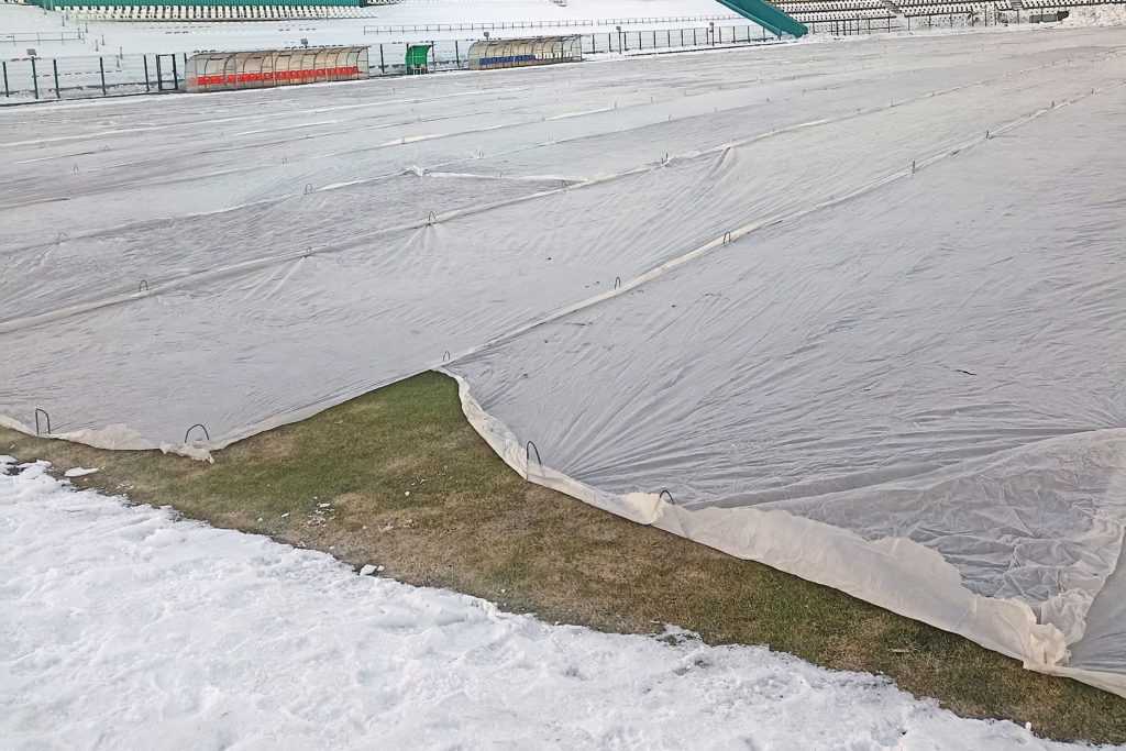 Травка зеленеет, дело за солнышком